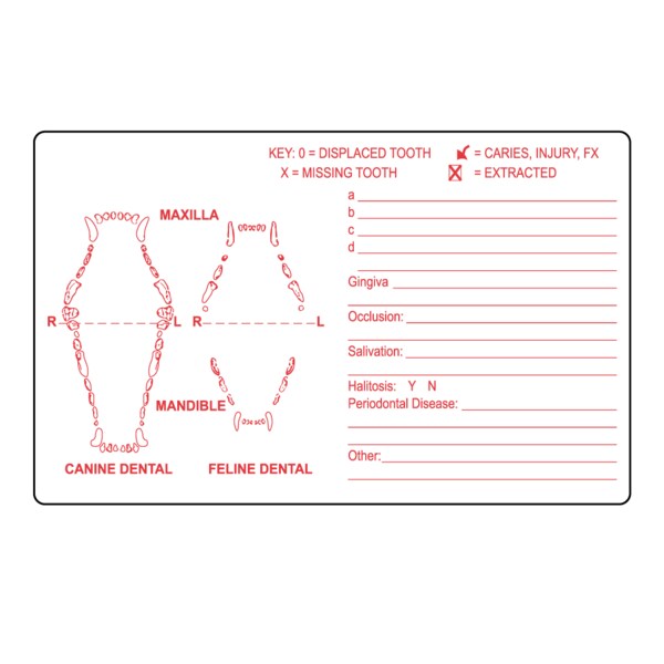 Nevs Dental Label 2-1/2" x 4" White w/Red VW-0081 - main